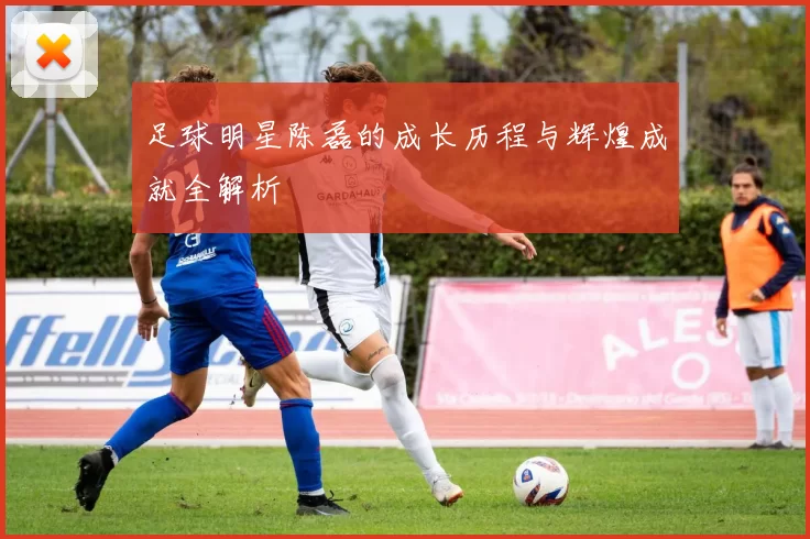 足球明星陈磊的成长历程与辉煌成就全解析