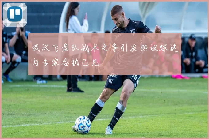 武汉飞盘队战术之争引发热议球迷与专家各执己见