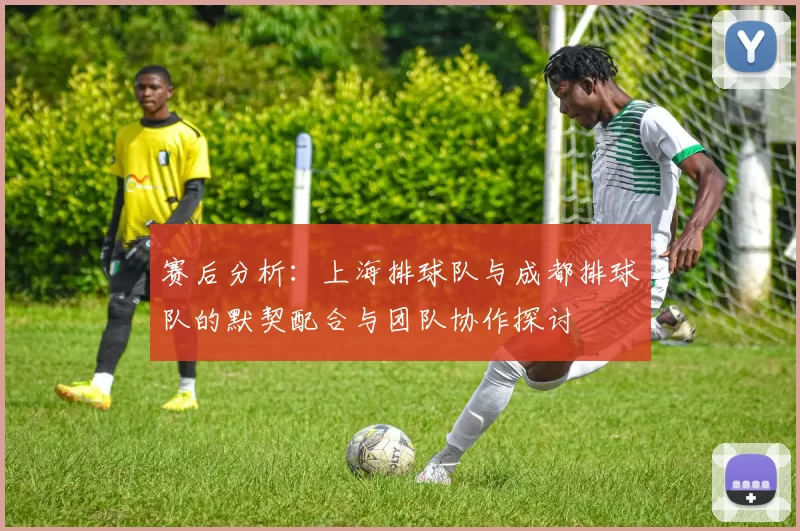 赛后分析：上海排球队与成都排球队的默契配合与团队协作探讨