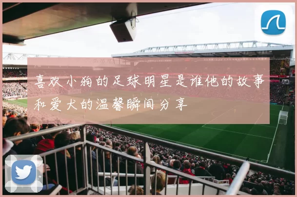 喜欢小狗的足球明星是谁他的故事和爱犬的温馨瞬间分享