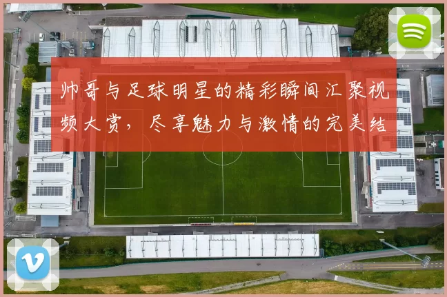帅哥与足球明星的精彩瞬间汇聚视频大赏，尽享魅力与激情的完美结合