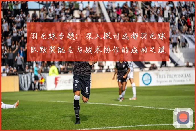羽毛球专题：深入探讨成都羽毛球队默契配合与战术协作的成功之道