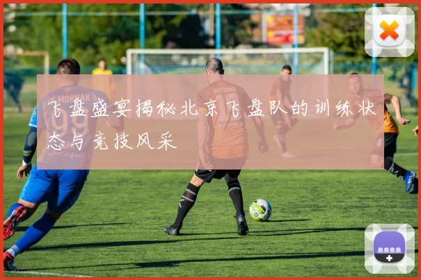 飞盘盛宴揭秘北京飞盘队的训练状态与竞技风采