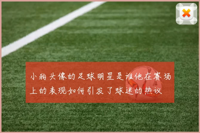 小狗头像的足球明星是谁他在赛场上的表现如何引发了球迷的热议