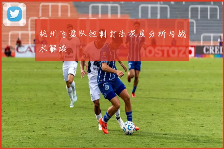 杭州飞盘队控制打法深度分析与战术解读