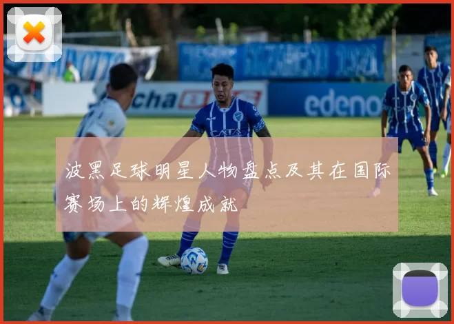 波黑足球明星人物盘点及其在国际赛场上的辉煌成就