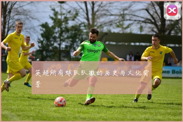 英超所有球队队徽的历史与文化背景