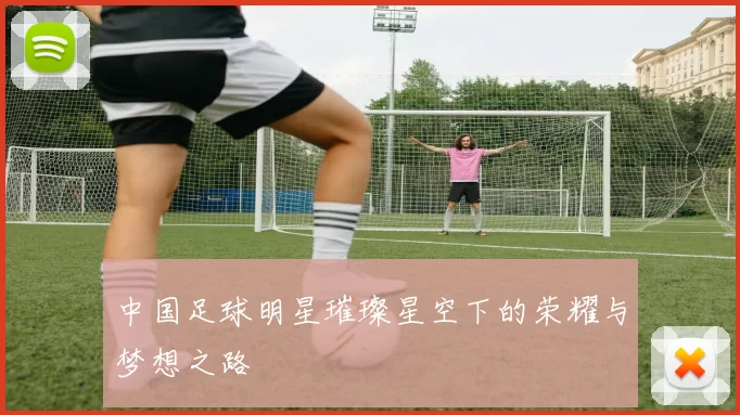 中国足球明星璀璨星空下的荣耀与梦想之路