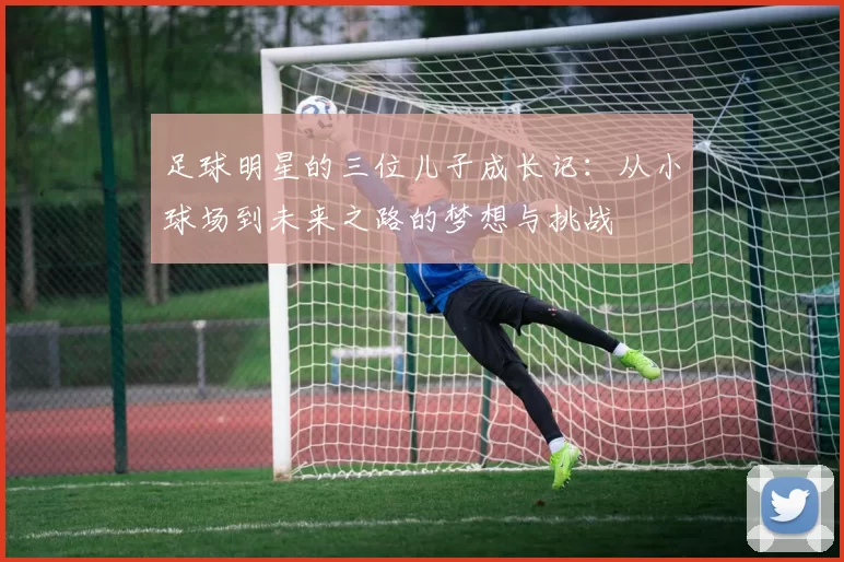 足球明星的三位儿子成长记：从小球场到未来之路的梦想与挑战