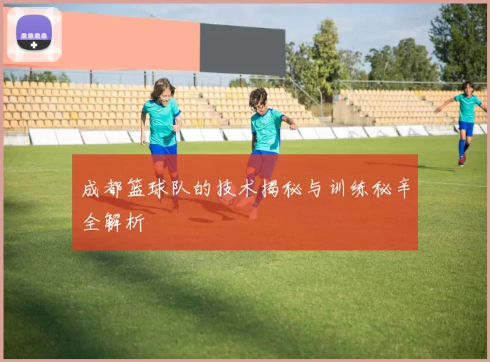 成都篮球队的技术揭秘与训练秘辛全解析