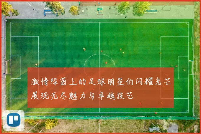 激情绿茵上的足球明星们闪耀光芒展现无尽魅力与卓越技艺