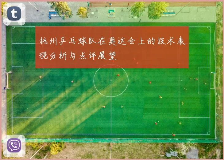 杭州乒乓球队在奥运会上的技术表现分析与点评展望