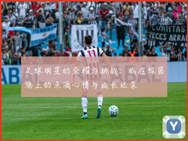 足球明星的荣耀与挑战：我在绿茵场上的点滴心情与成长记录