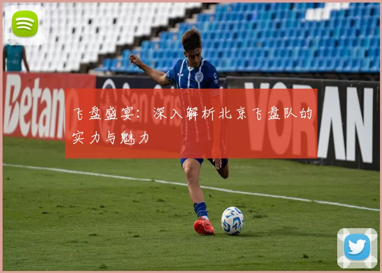飞盘盛宴：深入解析北京飞盘队的实力与魅力
