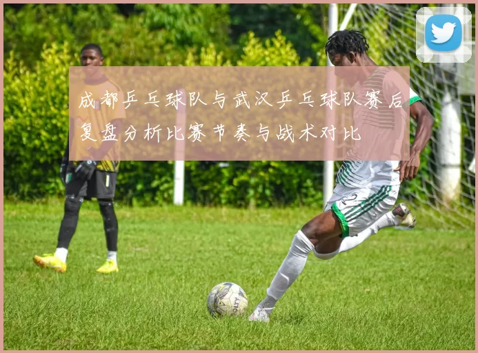 成都乒乓球队与武汉乒乓球队赛后复盘分析比赛节奏与战术对比