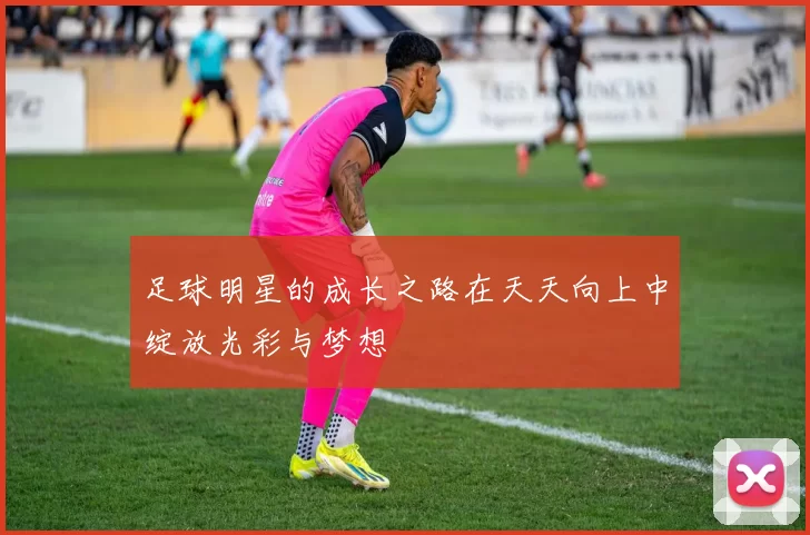 足球明星的成长之路在天天向上中绽放光彩与梦想