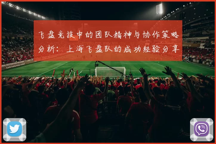 飞盘竞技中的团队精神与协作策略分析：上海飞盘队的成功经验分享
