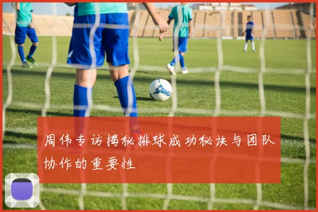 周伟专访揭秘排球成功秘诀与团队协作的重要性