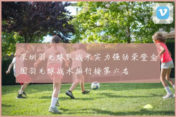深圳羽毛球队战术实力强劲荣登全国羽毛球战术排行榜第六名