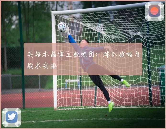 英超水晶宫主教练图：球队战略与战术安排