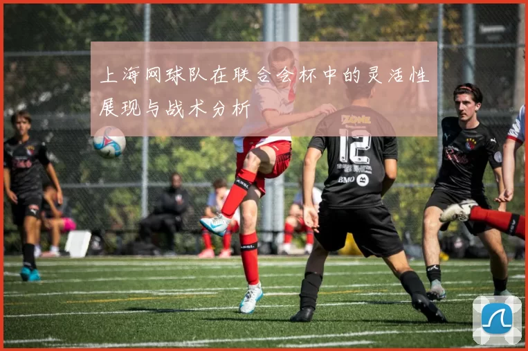 上海网球队在联合会杯中的灵活性展现与战术分析