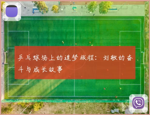 乒乓球场上的追梦旅程：刘敏的奋斗与成长故事