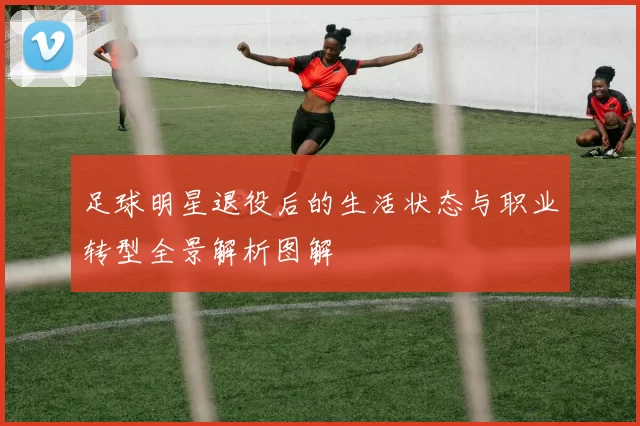 足球明星退役后的生活状态与职业转型全景解析图解